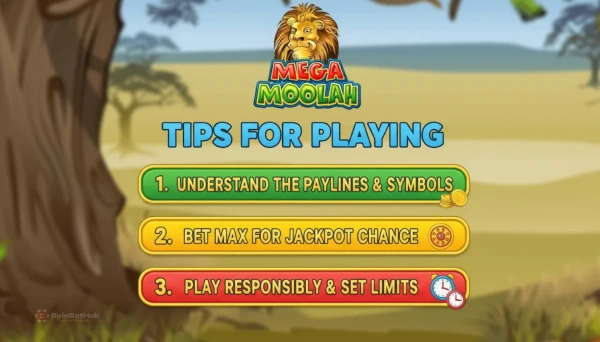 Smart play tips for Mega Moolah slot