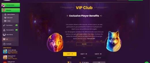 Bizzo VIP Club