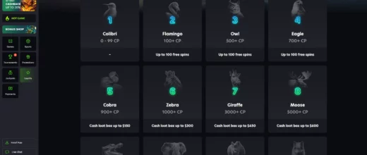 Neospin Loyality Program